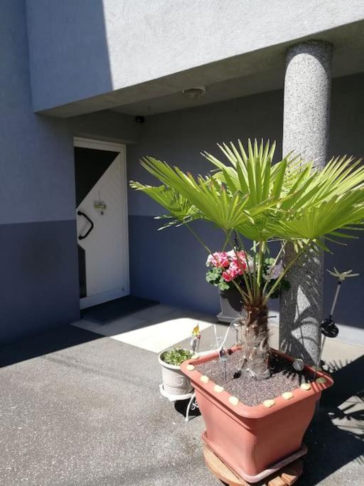 Appartement Agreable 阿格诺 外观 照片